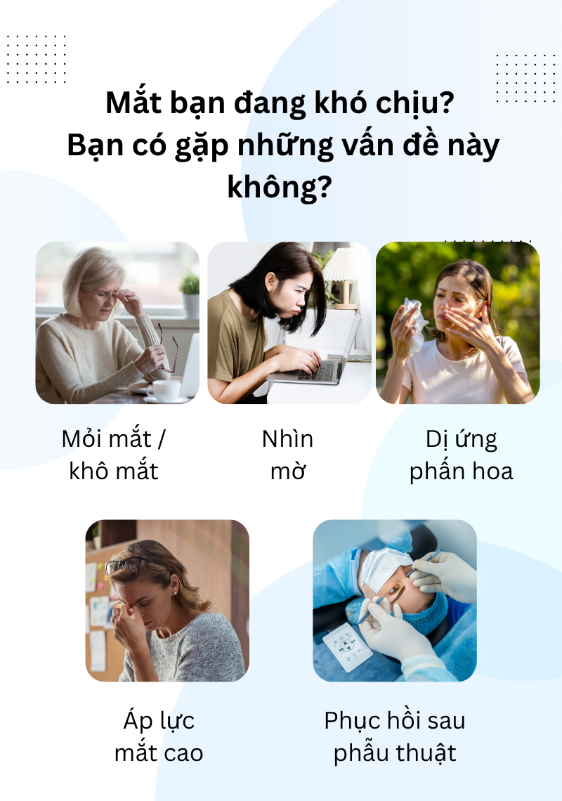 Miếng Dán Mắt Thư Giãn Wise Quest - Gói Chăm Sóc 2 Tháng
