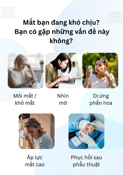 Miếng Dán Mắt Thư Giãn Wise Quest - Gói Chăm Sóc 2 Tháng