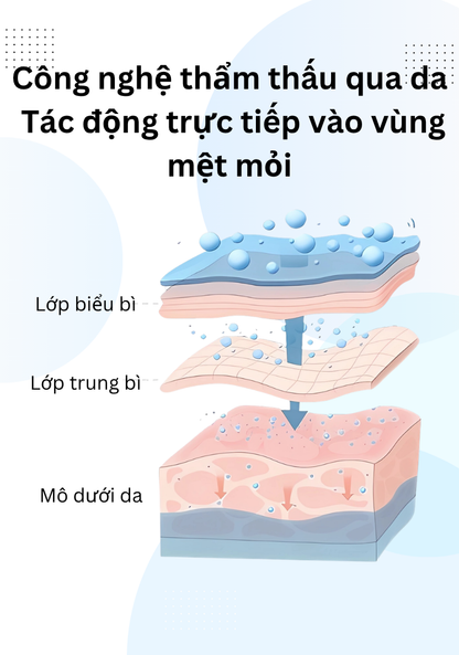 Miếng Dán Mắt Thư Giãn Wise Quest - Gói Chăm Sóc 2 Tháng